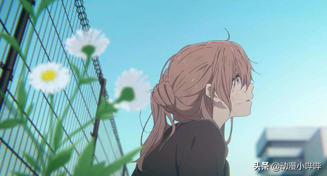 新番,旧番,表番,里番,看动漫这么多年这些番剧名词你懂了吗?