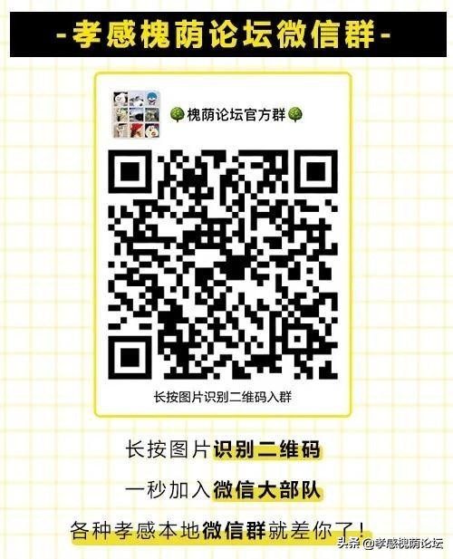 孝感抗疫,麻城抗疫故事