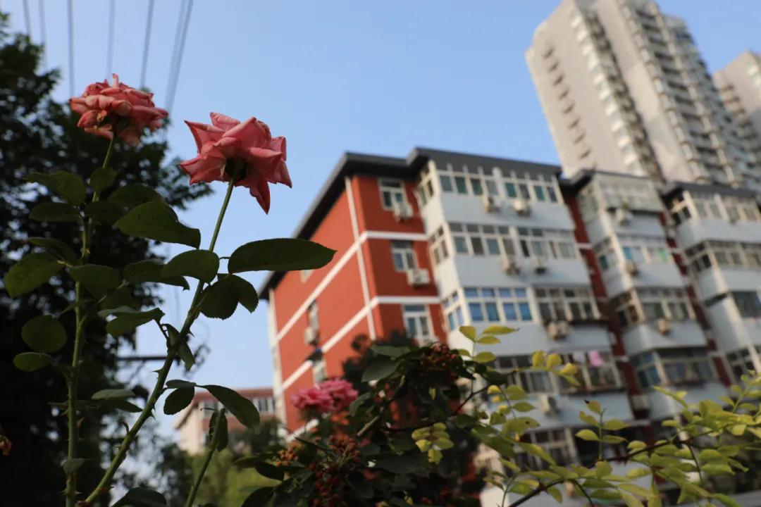 作风整顿工作进展,街道作风整治方案