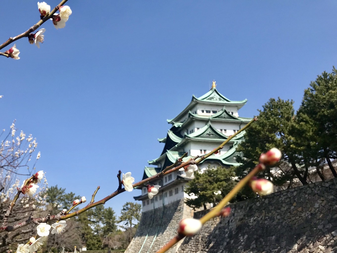 青春18旅游通票怎么买,坐jr游日本