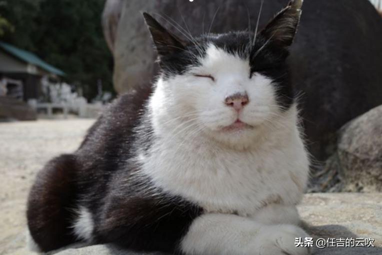 外网测评top1,理光gr测评