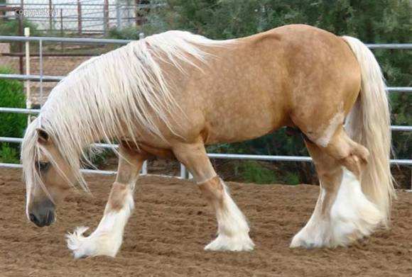 中国六千年历史朝代,中国6000年疆域变迁