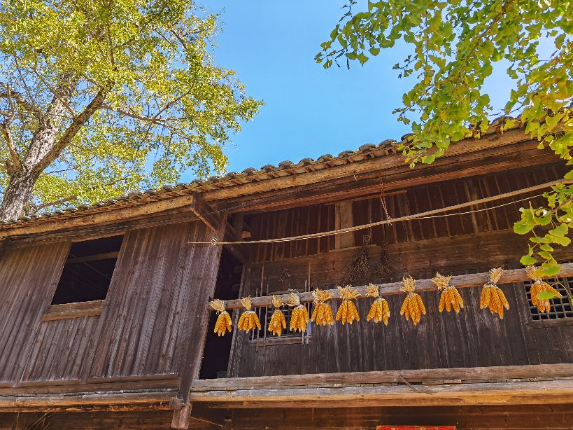 秋天的回忆完整版,秋天的回忆歌曲