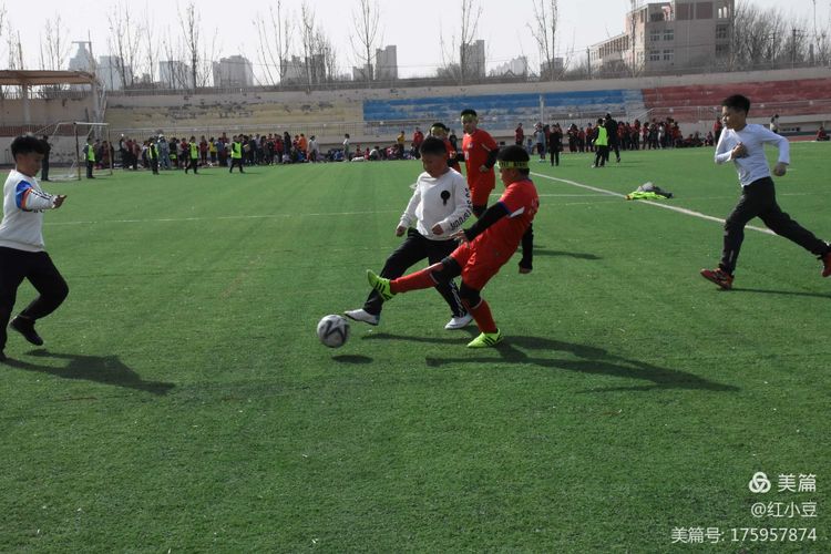 东营市中小学第七届足球比赛,东营市春晖小学足球联赛