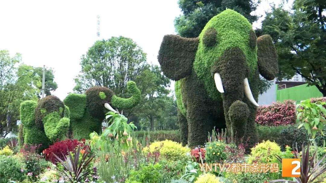 昆明100个立体花坛位置,昆明cop15立体花坛