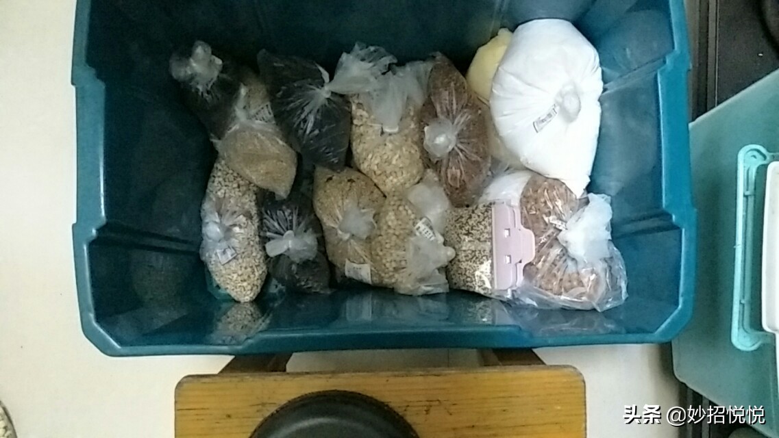 家里五谷杂粮长虫子还能放屋里吗,五谷杂粮有虫子怎么办