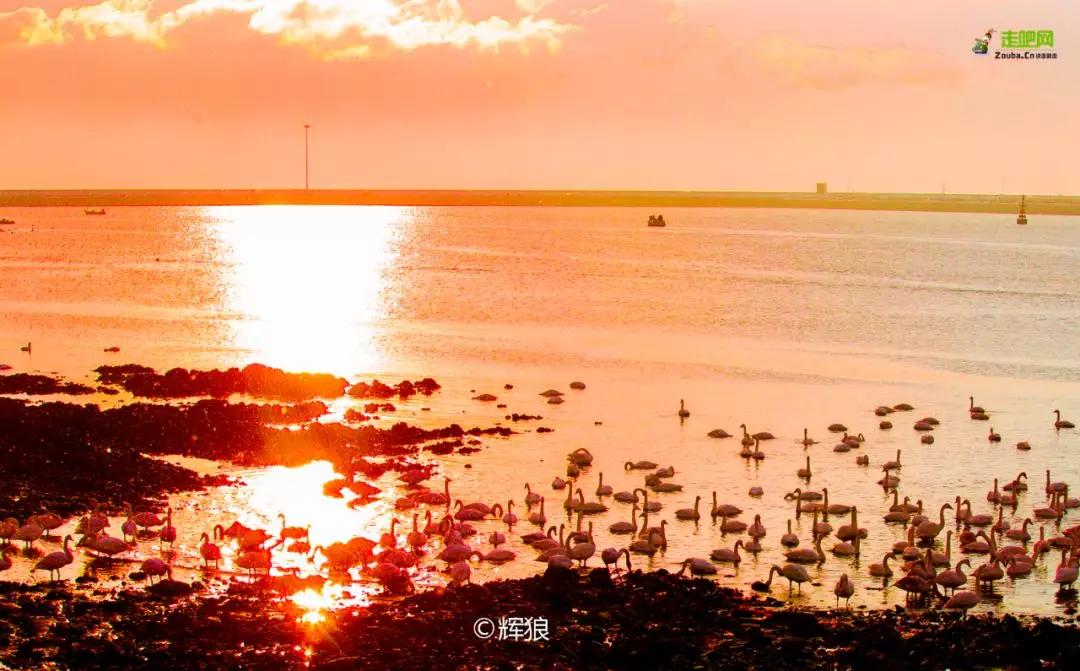 过年了你的爱车清洗了吗,新春要把你的爱车打扮美美的