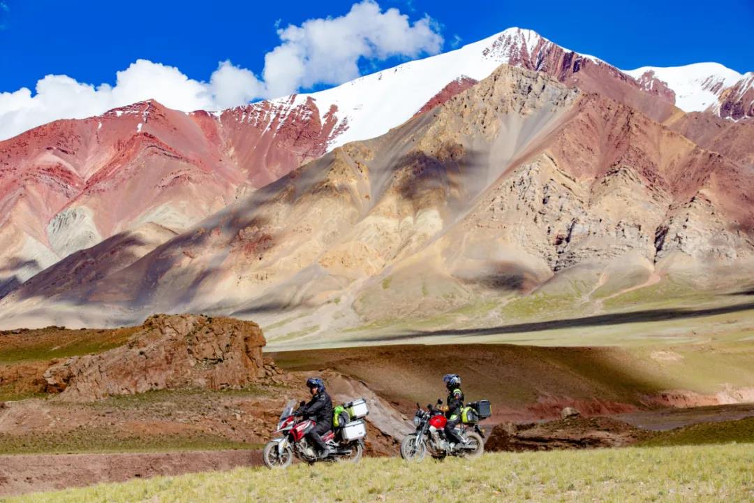 “网红车”猛鸷值得托付！