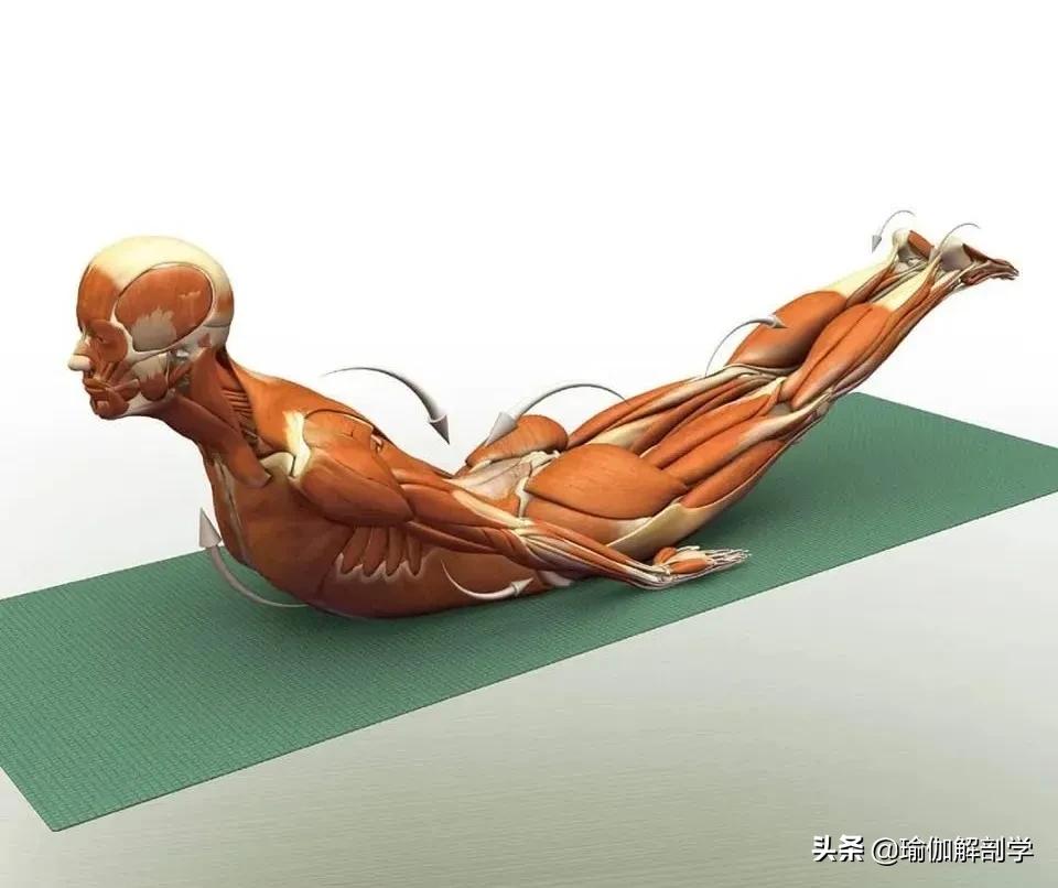 正位瑜伽哈他体式编排,精准正位60分钟瑜伽体式