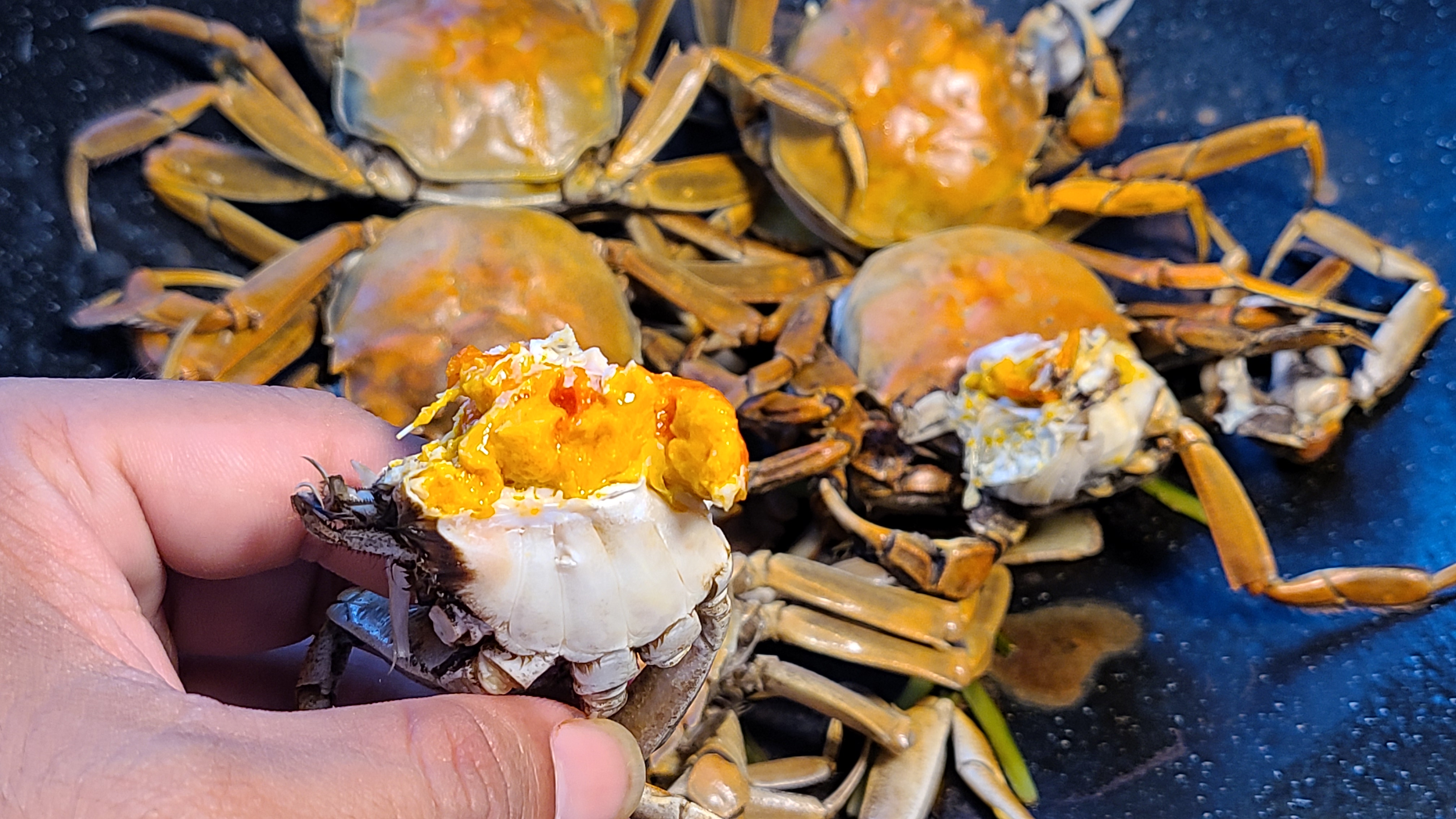 焗螃蟹的正确做法步骤,焗螃蟹的正宗做法