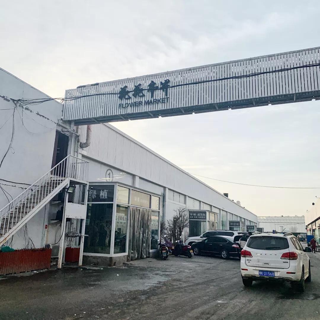 网上买东西怎么交智商税,网上买的智商税产品