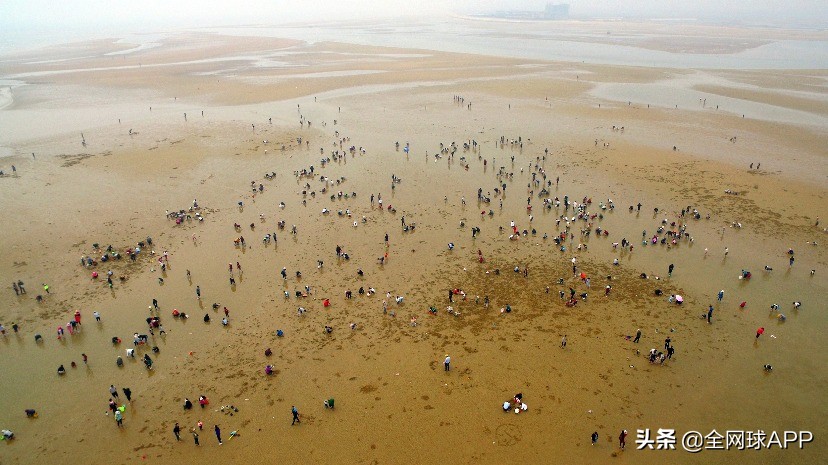 日照印象蓝天碧海金沙滩,日照印象海鲜