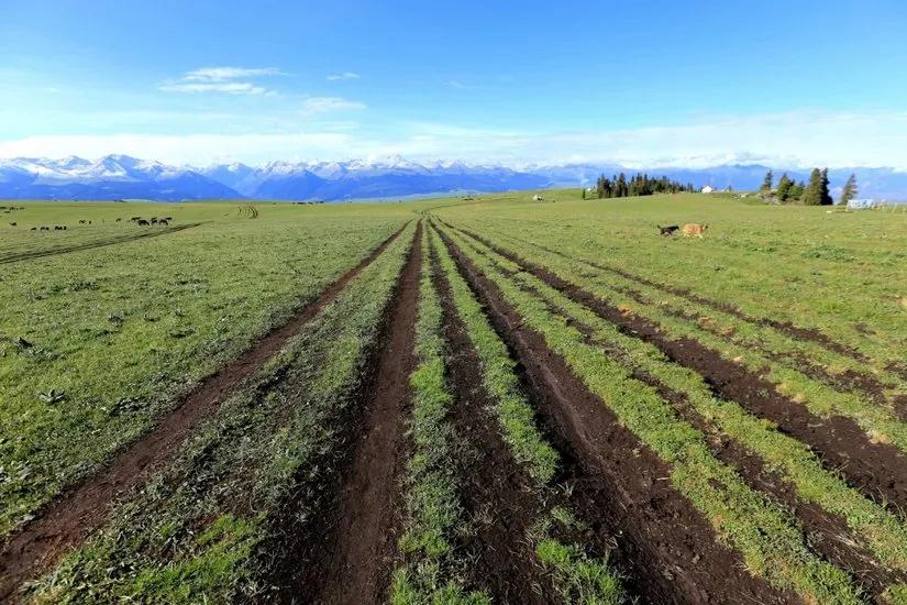 喀拉峻穿越琼库什台几天,喀拉峻穿越琼库什台