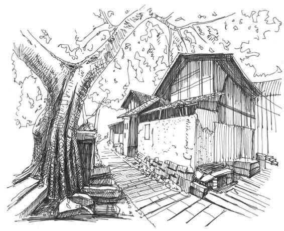 速写风景初学者入门教程,速写风景初学者入门教程植物