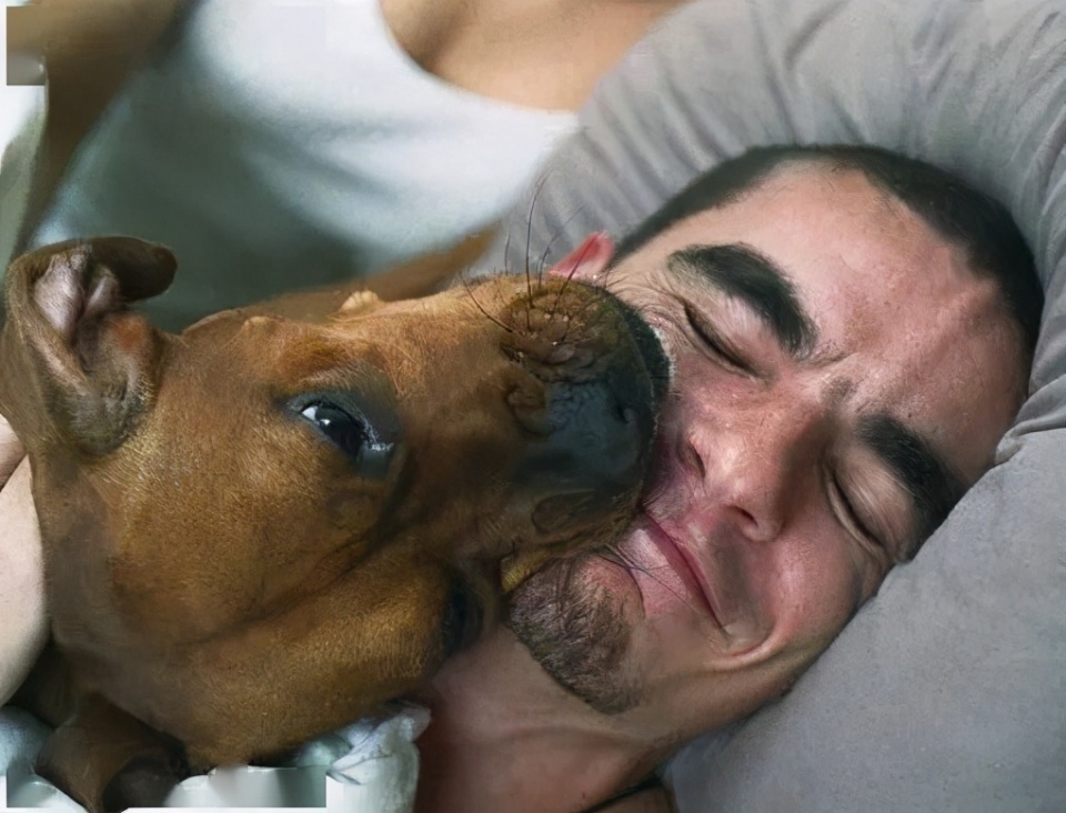 养狗前后父母的变化,父母养狗前后变化