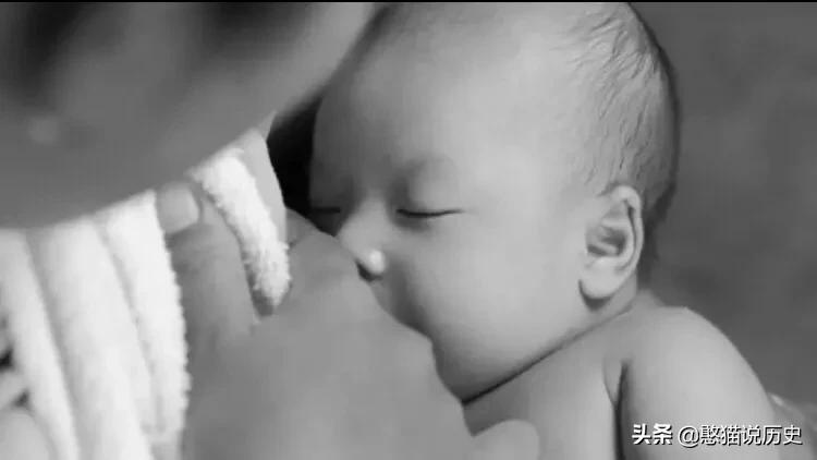 海洋里的哺乳动物是怎么哺乳的,海洋哺乳动物怎么喝水