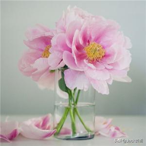 再见除了用goodbye还能说什么,goodbye表示长时间告别吗