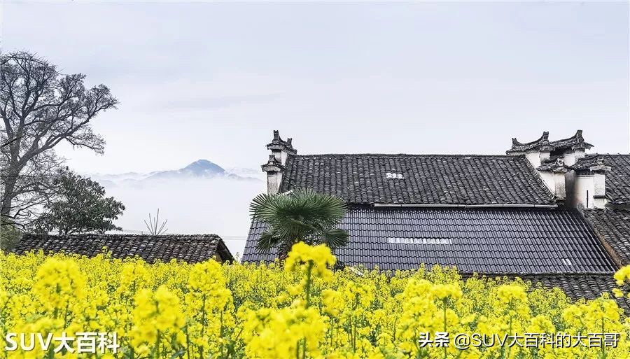 15款jeep指南者新车多少钱,15jeep指南者2.0落地多少