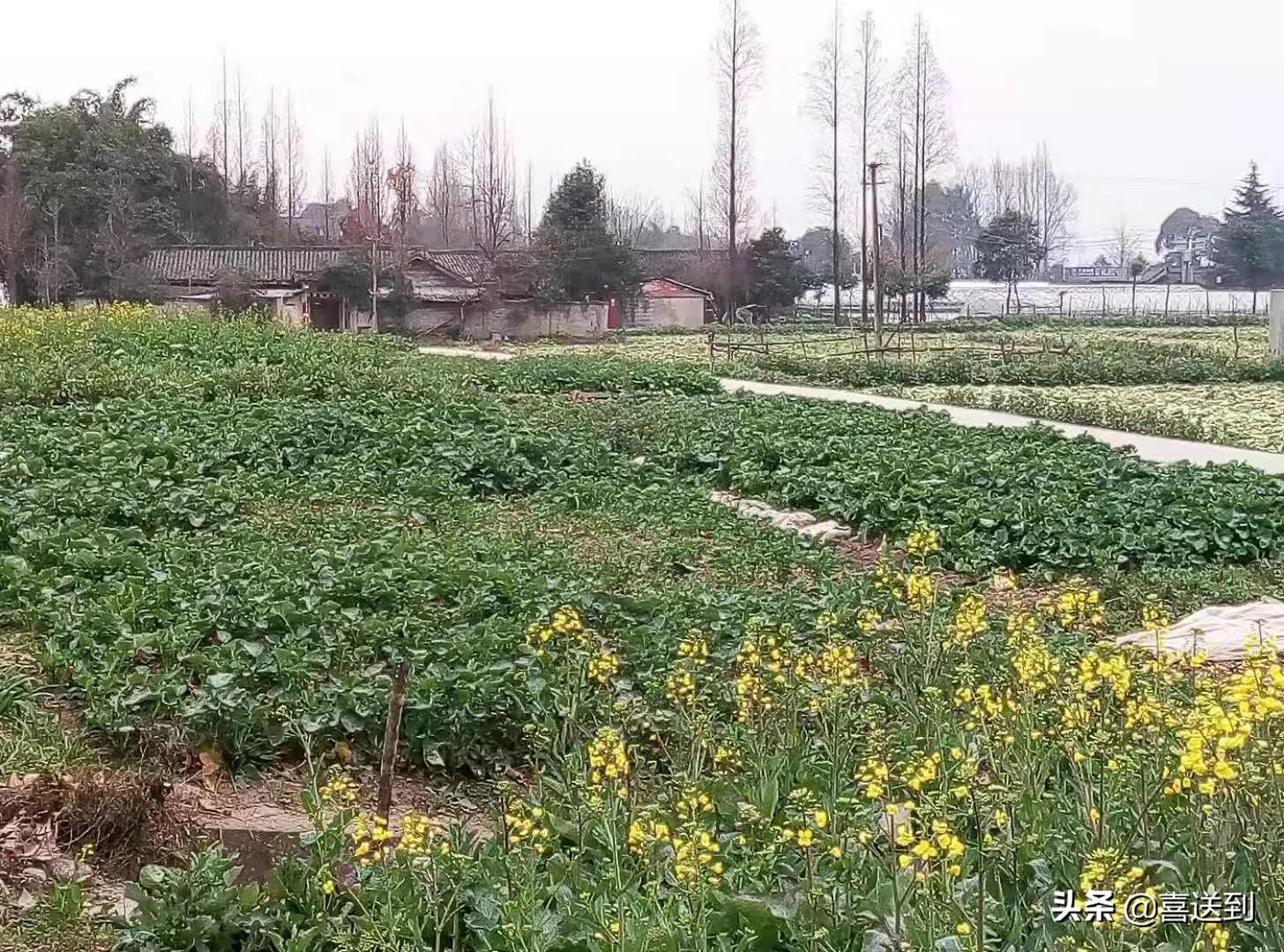 夫妻性格不合如何才能解决,夫妻性格不合最好的解决方法