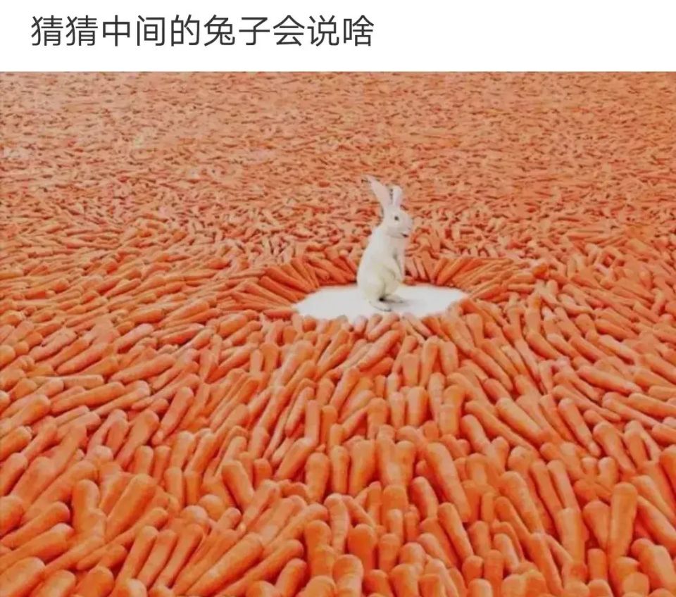 相亲时一个最不会搞定女生的男生,相亲就是给男人追求你的一个机会