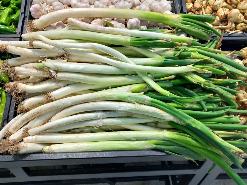 大葱价格为什么便宜,什么时候买大葱最便宜