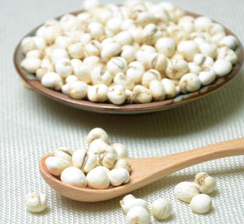 川贝母食疗方润肺又止咳,川贝母药膳