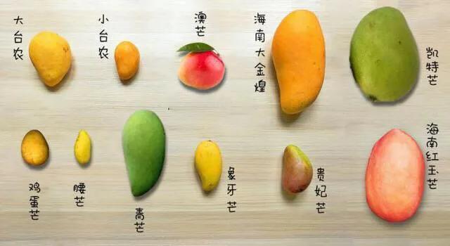 芒果品种西施芒,芒果品种四季蜜芒