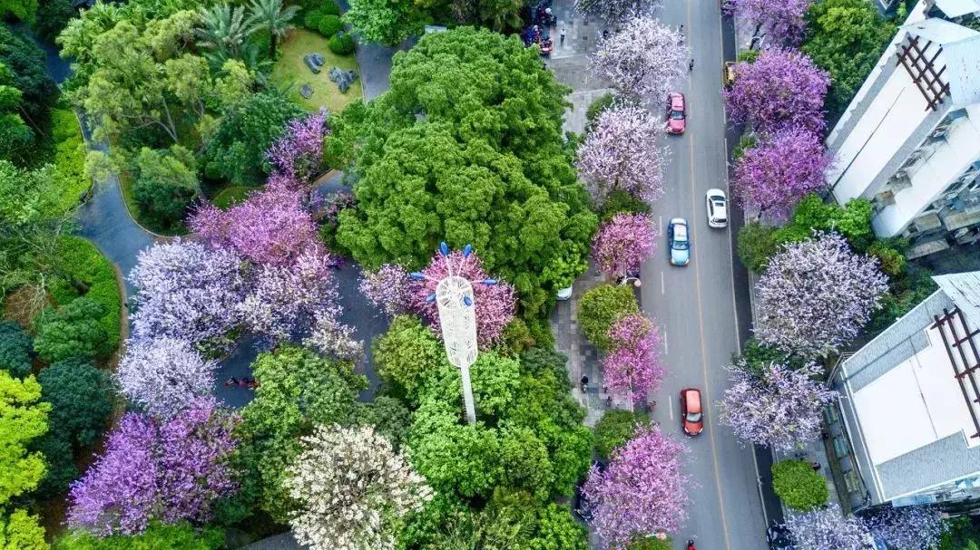 广西有座小城,广西的一座小县城