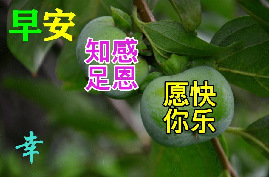 周一早上好祝福问候语最新版多图,周一早上好最新图片问候语