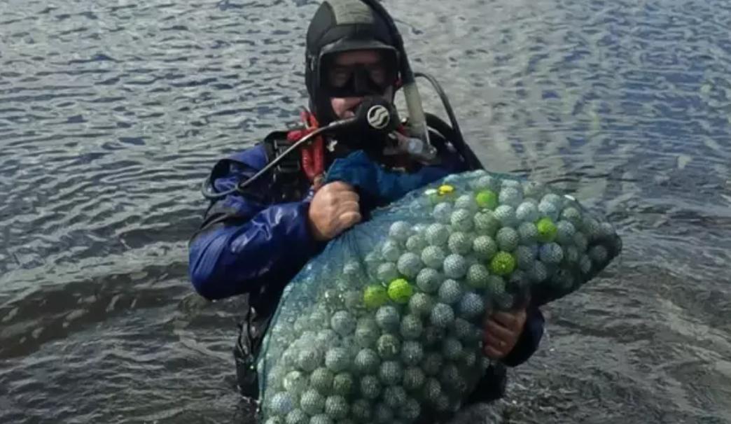 闻屁、吃狗粮竟年入几十万？盘点那些匪夷所思的“多金”职业