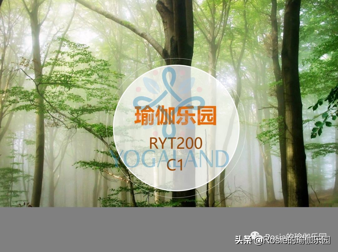 瑜伽小白如何在家自己练瑜伽,瑜伽零基础入门的基本体式有哪些