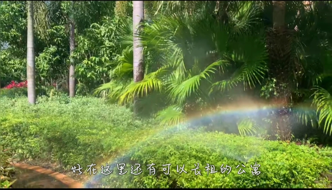 海南旅游自由行短租房,海南旅游公寓价格