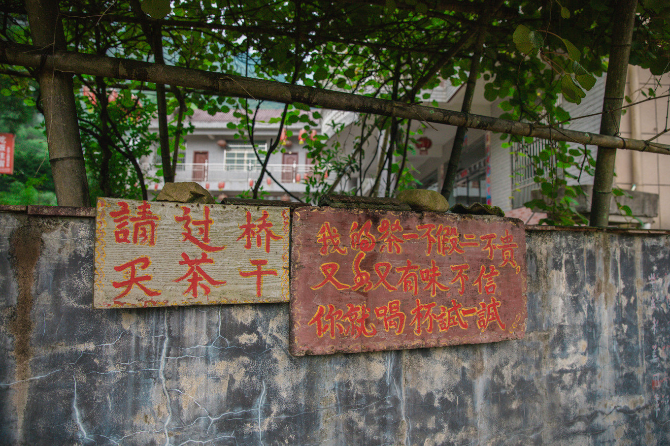 江西武陵红茶,江西最好的红茶