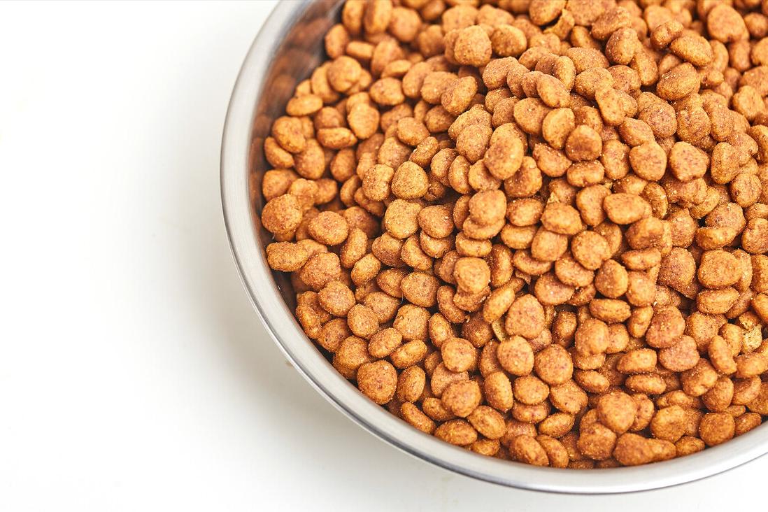 贵宾就吃冻干不吃狗粮是挑食吗,贵宾挑食太瘦怎么办啊