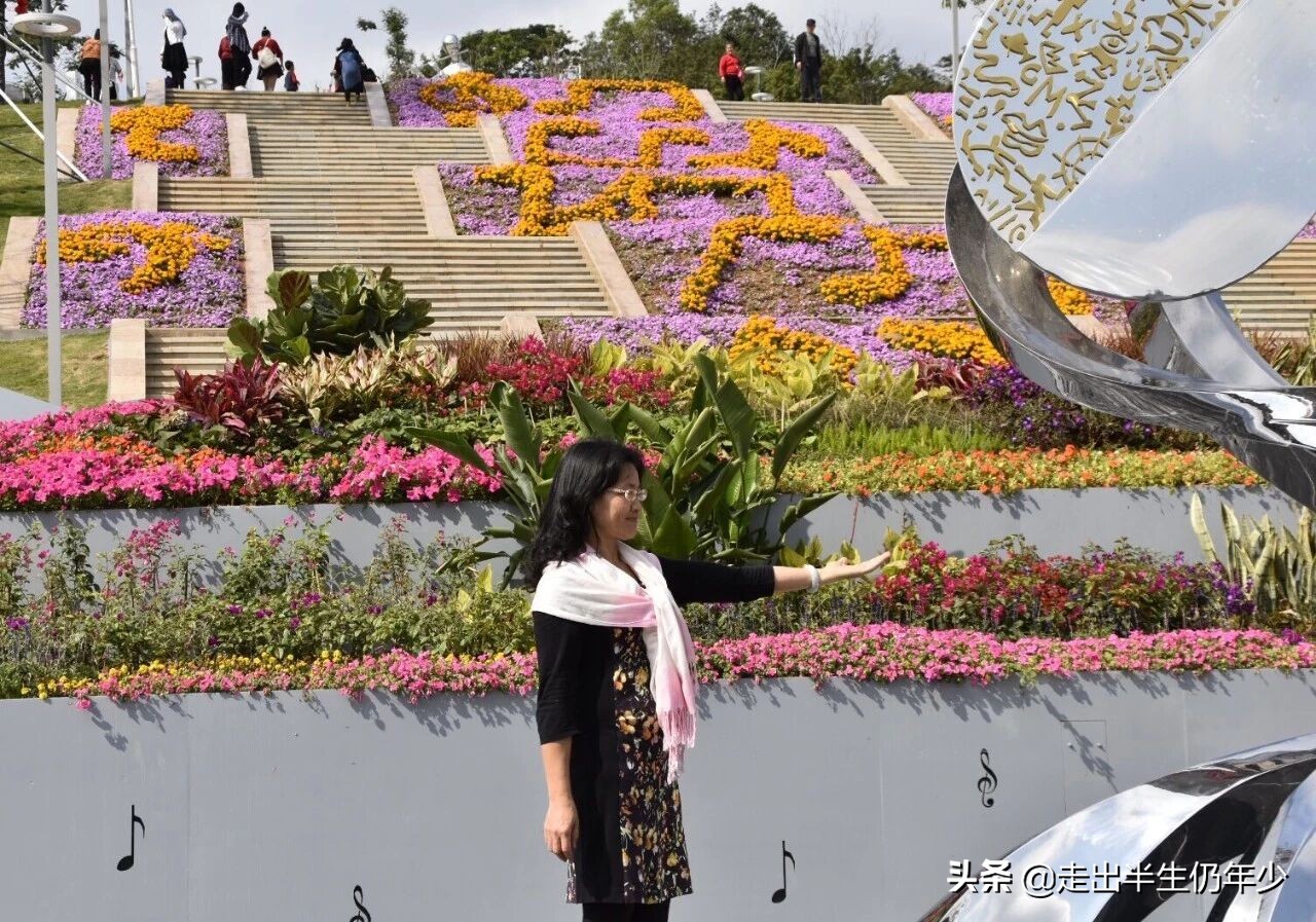 深圳足球场,深圳免费足球场