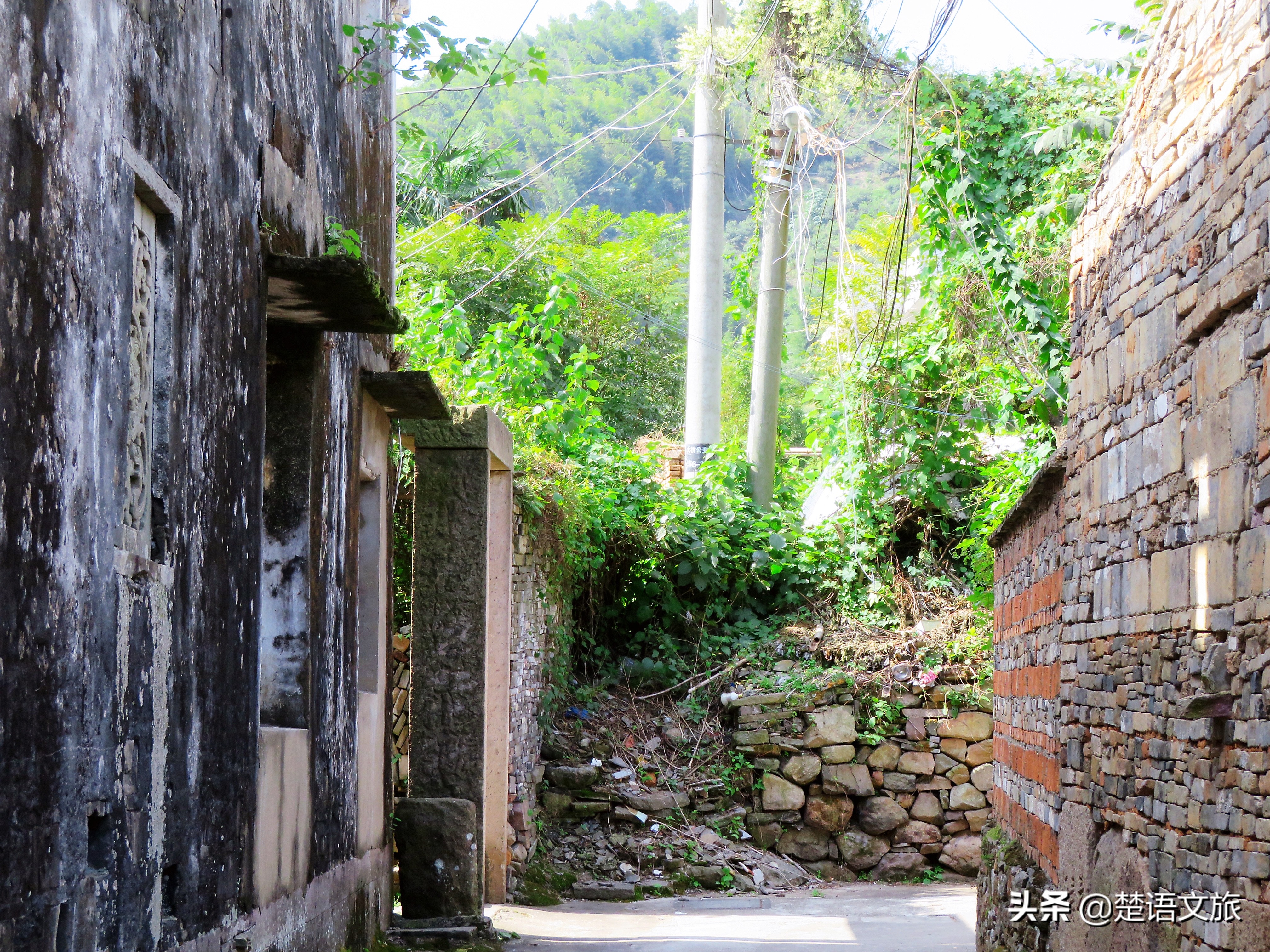 盛产杨梅而闻名的县是哪里,杨梅之乡余姚在什么省