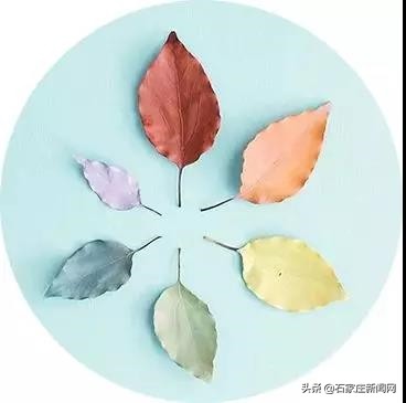 乙肝感冒了用什么感冒药,乙肝患者可以吃什么感冒药