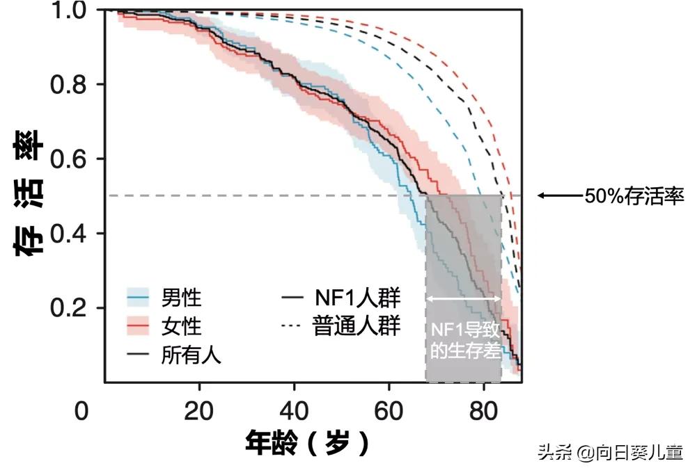 1型神经纤维瘤最佳治疗方案,神经纤维瘤最轻的是哪型