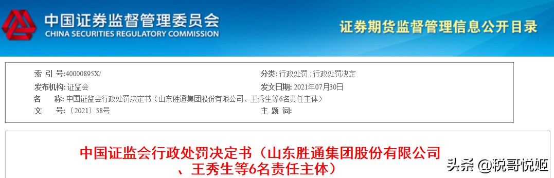 山东胜通集团财务舞弊回顾,山东胜通财务造假