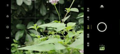 oppofindx2拍照效果好吗,oppofindx2手机拍照效果