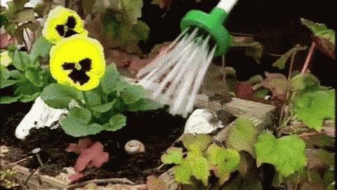 捕捉蜘蛛器,引诱蜘蛛神器