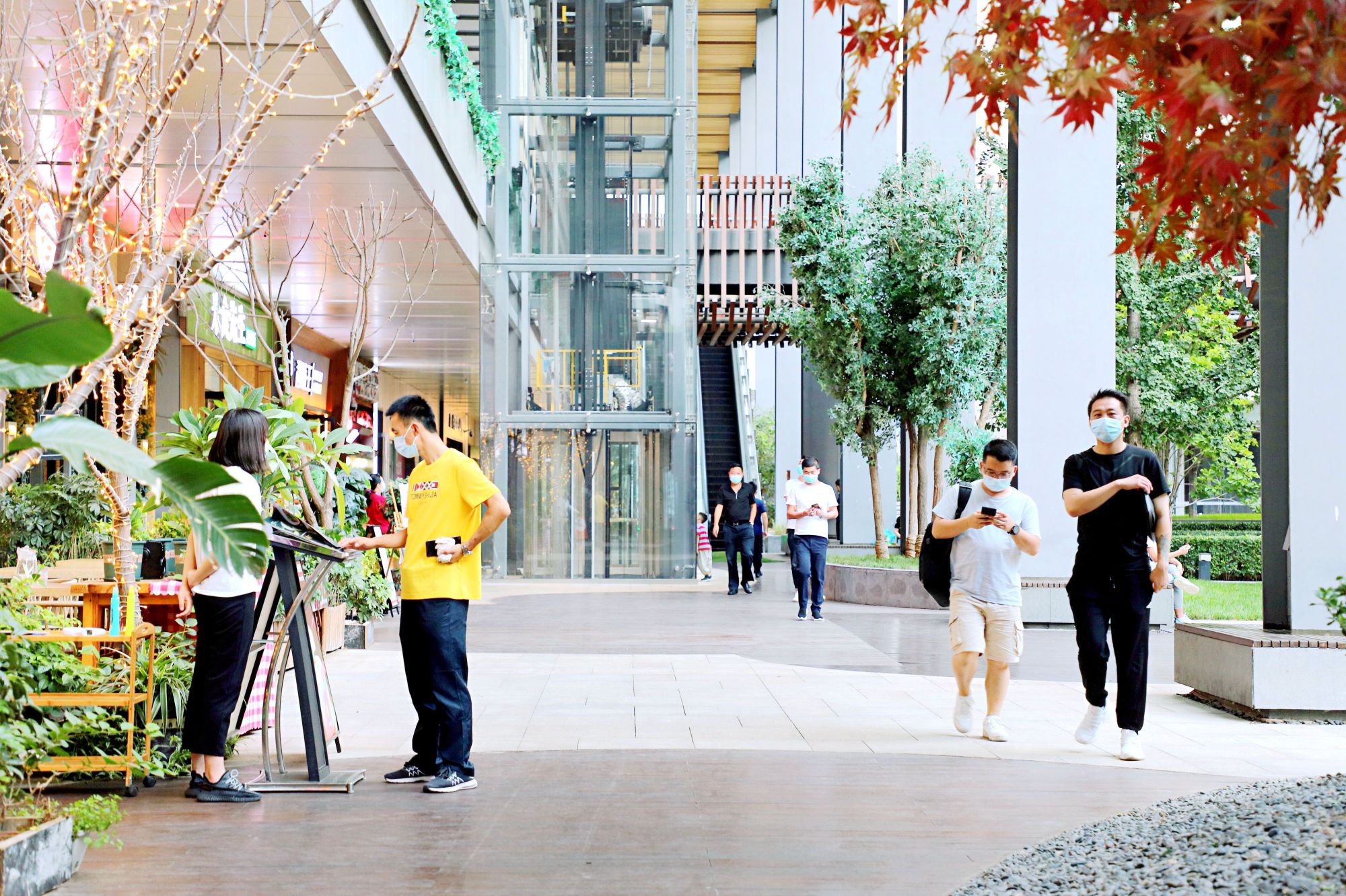 妙笔生花看丰台,妙笔生花看丰台走进你身边的书店