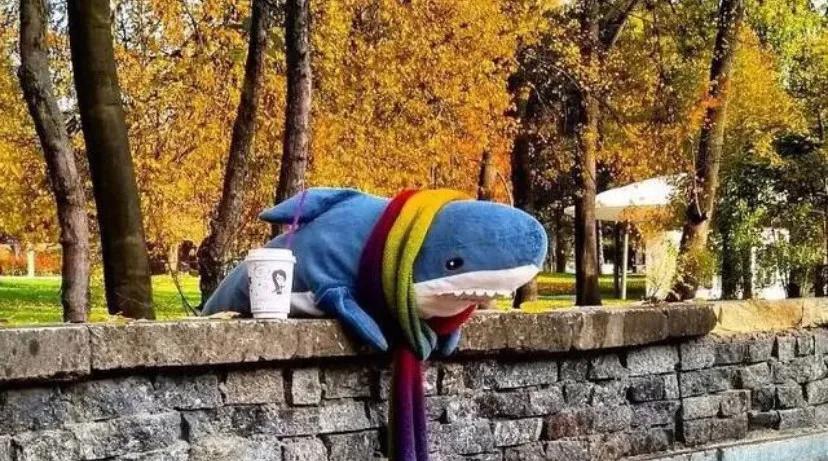 无房没车我可能不配逛宜家,闲来无事逛宜家