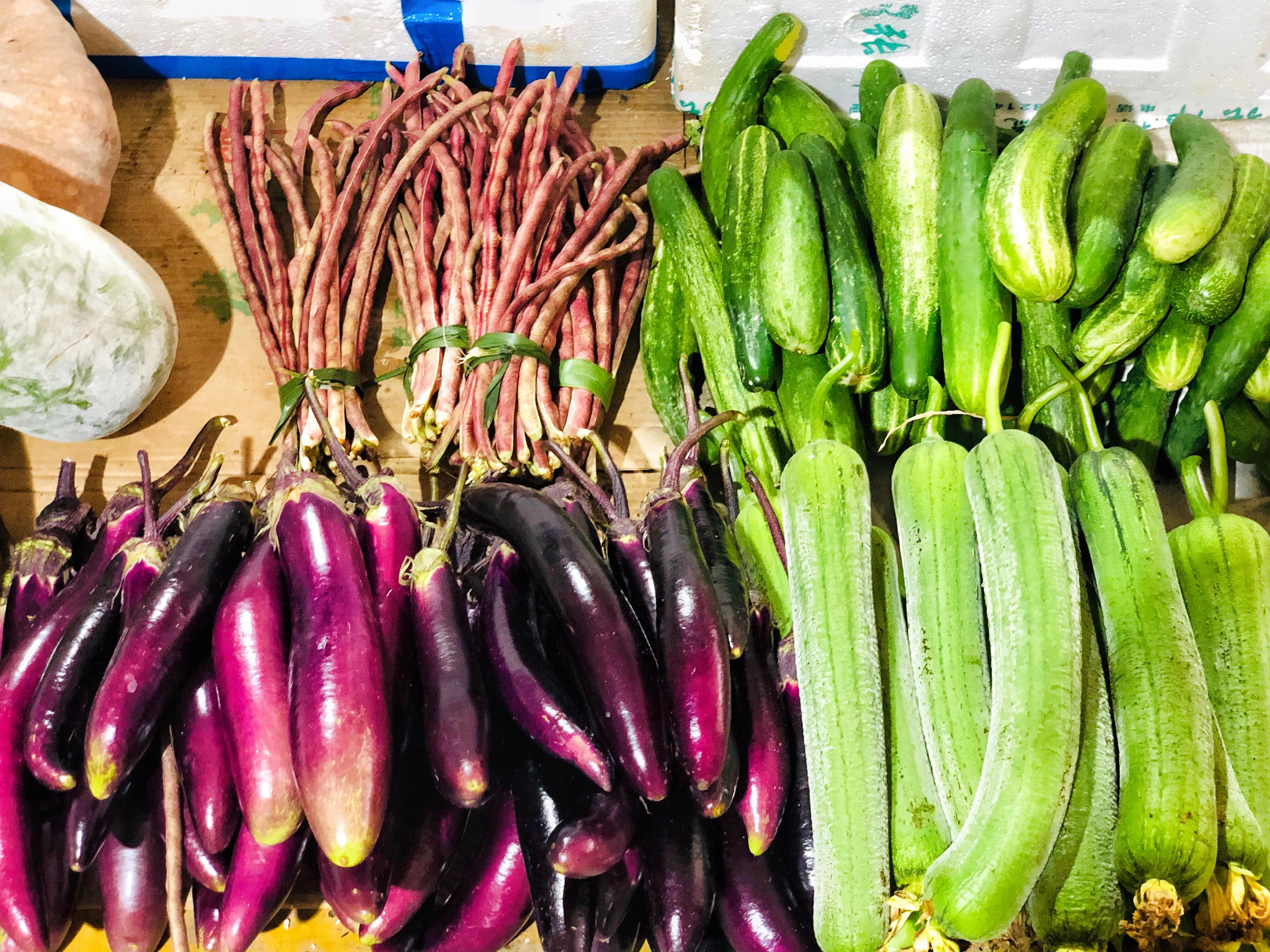 天屿湖适合避暑吗,天岛湖避暑旅游