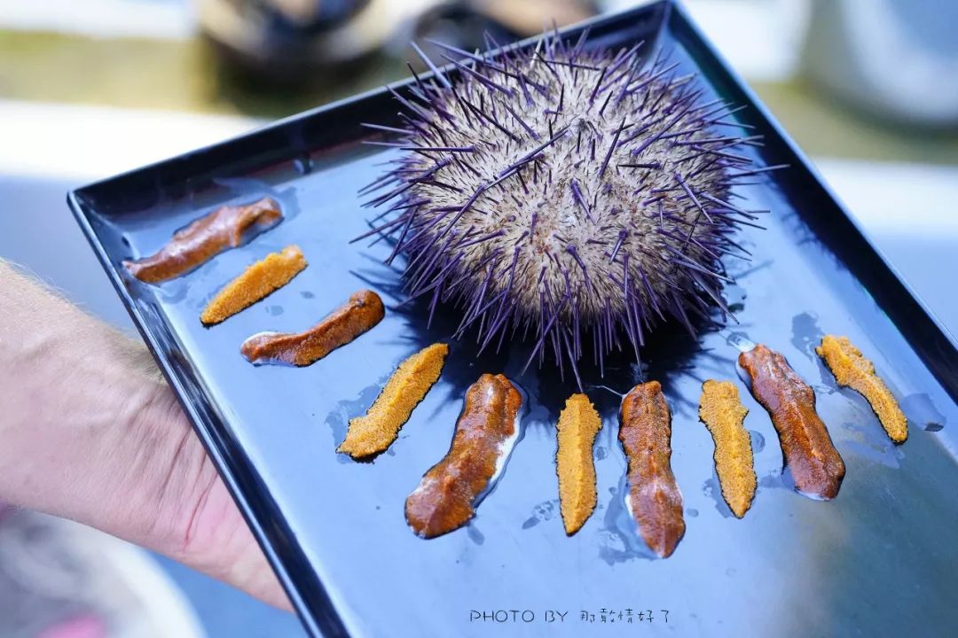 去哪里旅游可以看南极企鹅,旅游攻略南极看企鹅