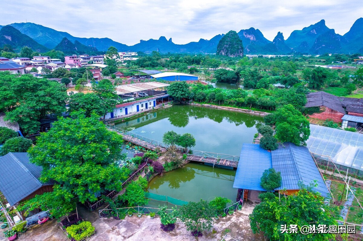 生态农业的优势及前景,生态农业发展存在的问题