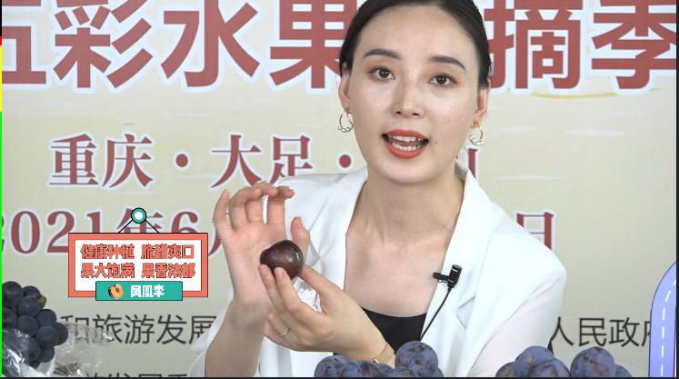 巴蜀文化旅游节,第二届柑橘旅游文化节