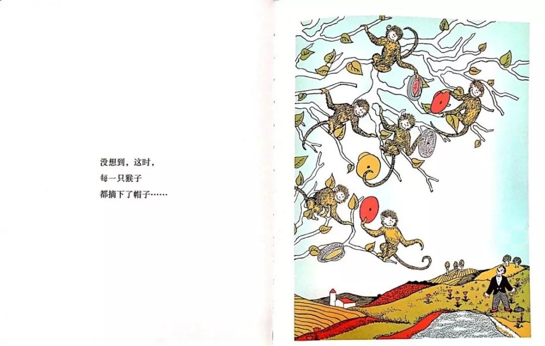 小马电台微博,小马电台主播