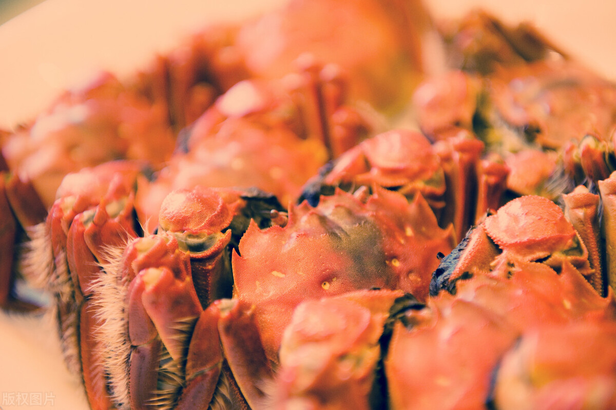 孕妇不能吃大牲口肉吗,孕妇可以吃大闸蟹吗晚期可以吃吗