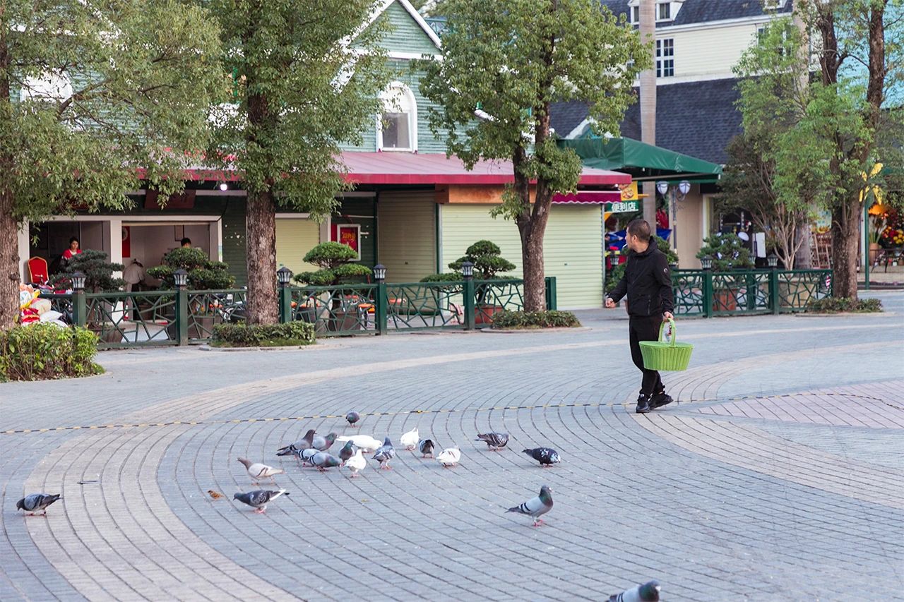 深圳旅游好去处推荐,深圳宝安区周末休闲浪漫好去处